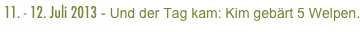 11. - 12. Juli 2013 - Und der Tag kam: Kim gebärt 5 Welpen.