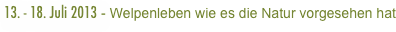 13. - 18. Juli 2013 - Welpenleben wie es die Natur vorgesehen hat